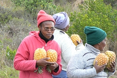 0570-Reis Zuid-Afrika2007